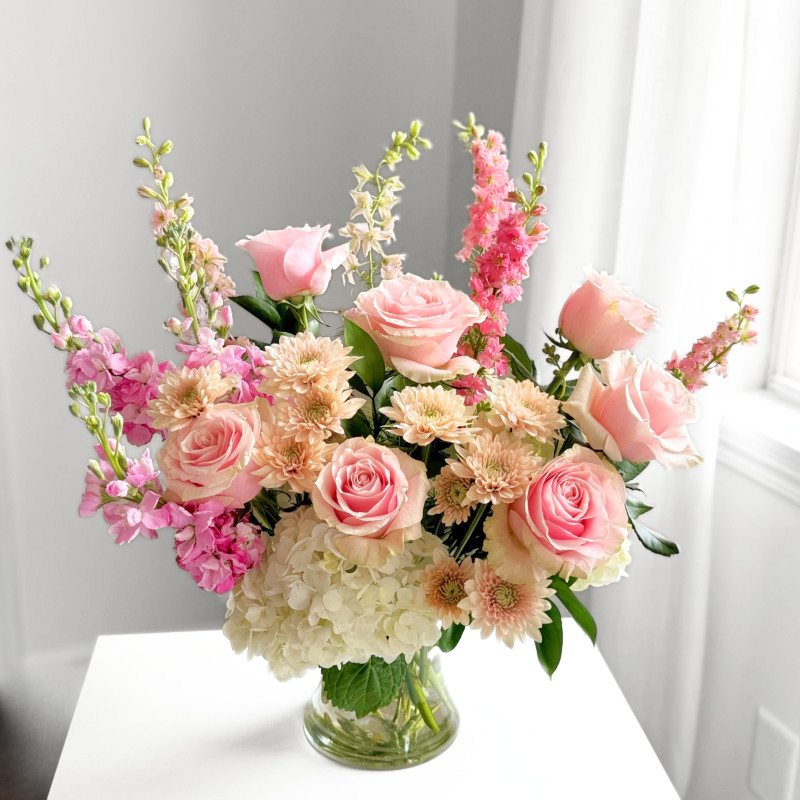 Sophia Marie - Same Day Delivery