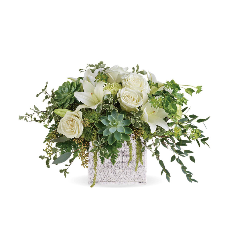 Stay Grounded - Same Day Delivery