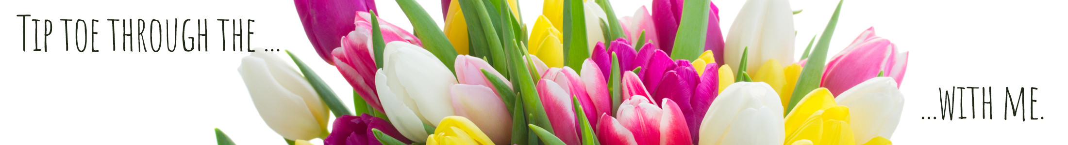 Tulips in Columbus Ohio